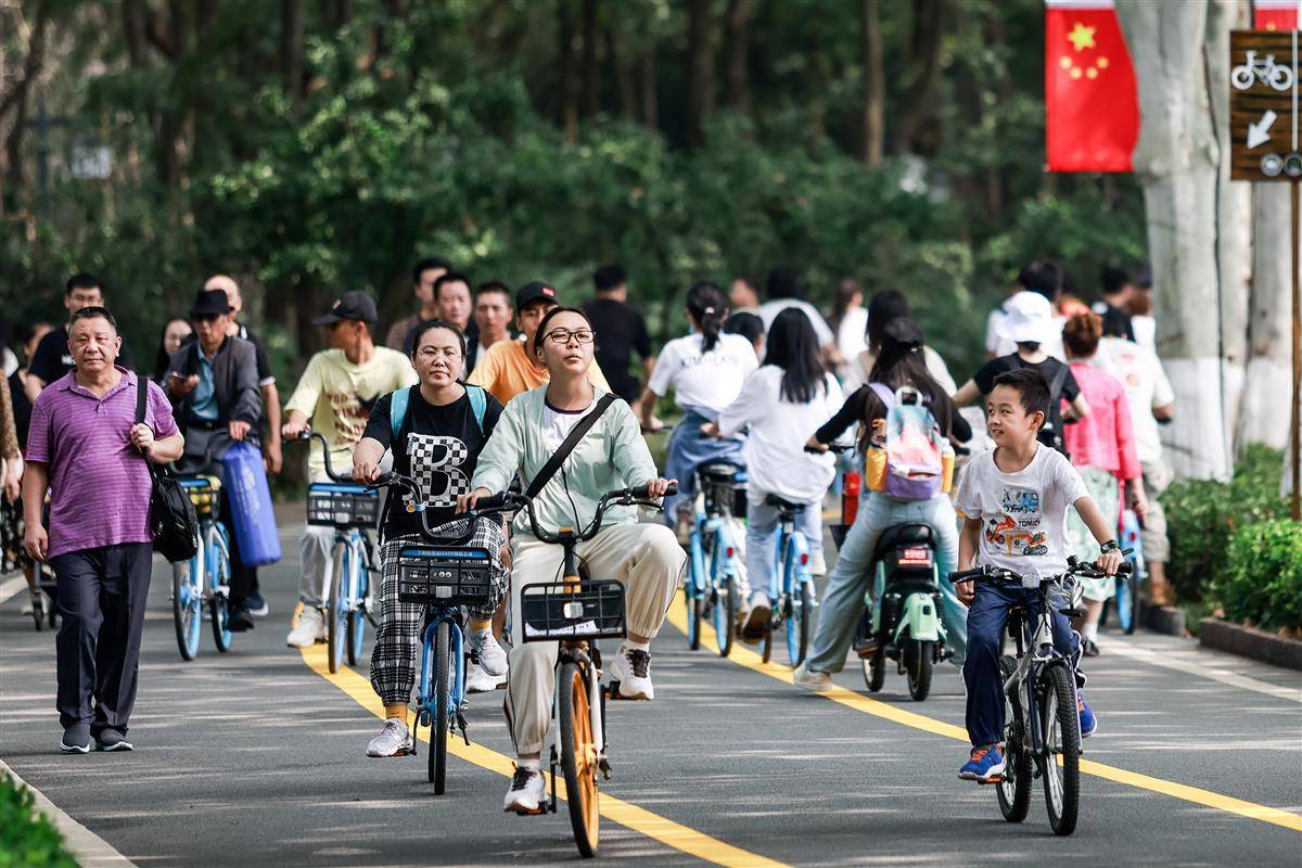 华宇娱乐